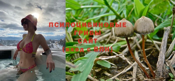 тгк Лихославль