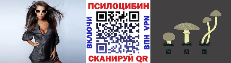 Галлюциногенные грибы GOLDEN TEACHER  Купить где  Луга 